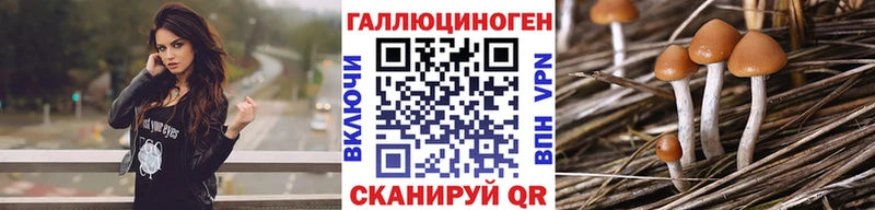 Псилоцибиновые грибы Magic Shrooms Киржач