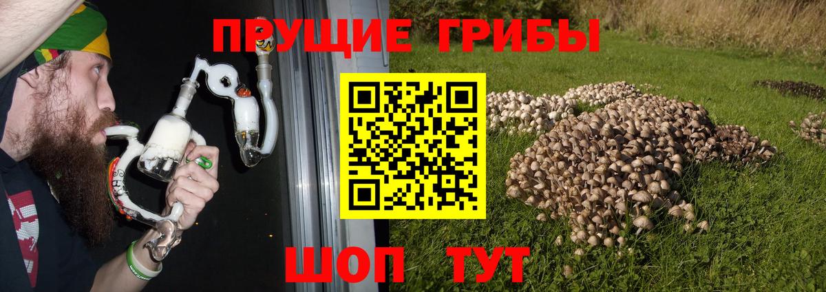 Галлюциногенные грибы Cubensis  Вход с VPN  Псилоцибиновые грибы мухоморы  Киржач 